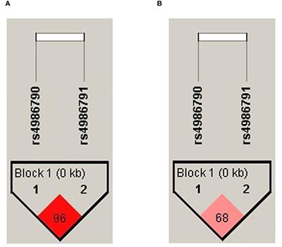 Altered levels of IFN-γ, IL-4, and IL-5 depend on the TLR4 rs4986790 genotype in COPD smokers but not those exposed to biomass-burning smoke